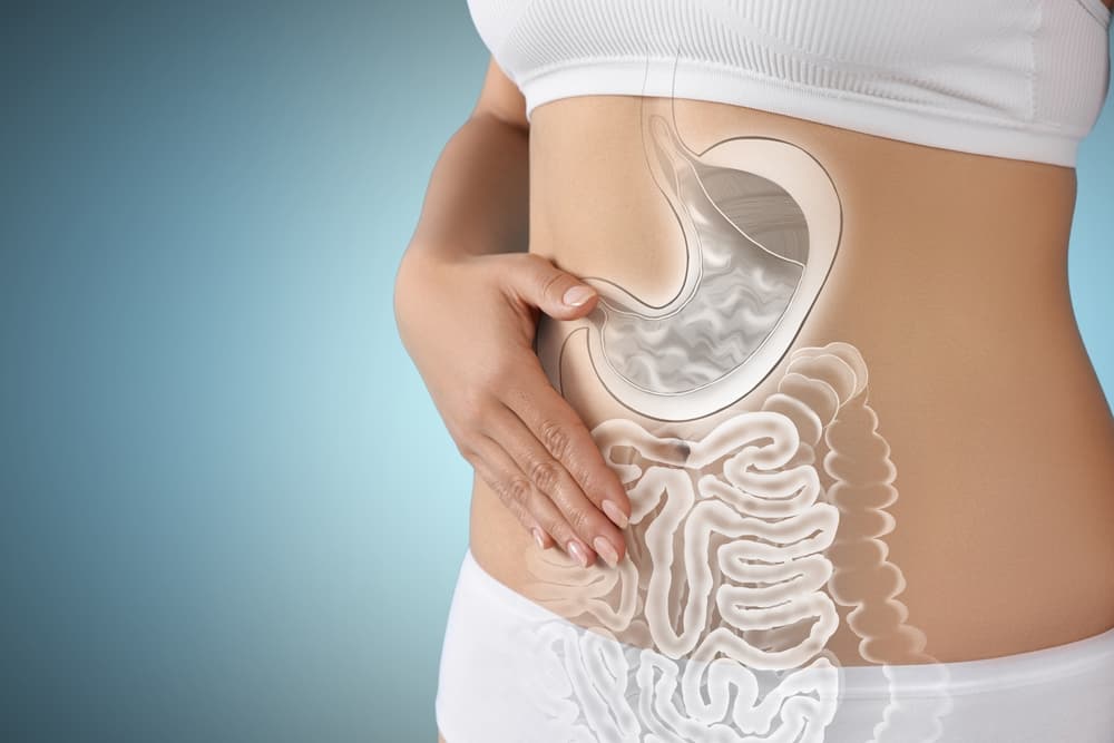 Your Gut, Your Mood, Your Move: Healing Starts in the Stomach