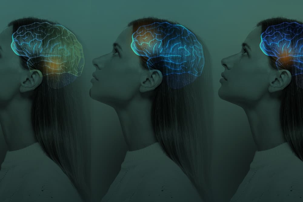 The Nervous System’s Role in Addiction Recovery