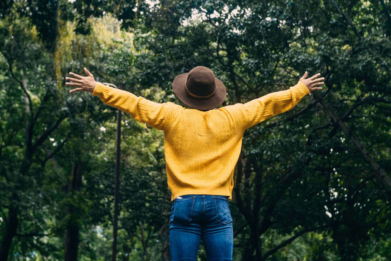 Focus on the healing journey of mental health recovery